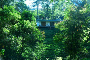 Green Wood Hotel